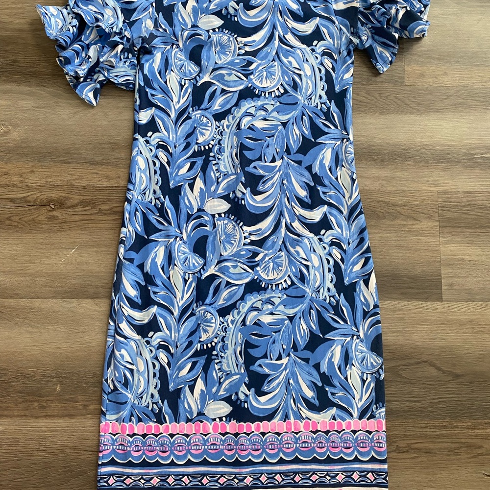 Lilly Pulitzer Diana Floral Dress XS